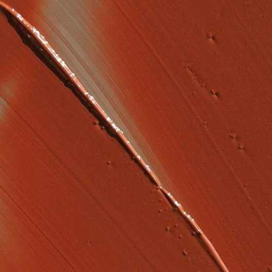 **Vitality Stack Women**